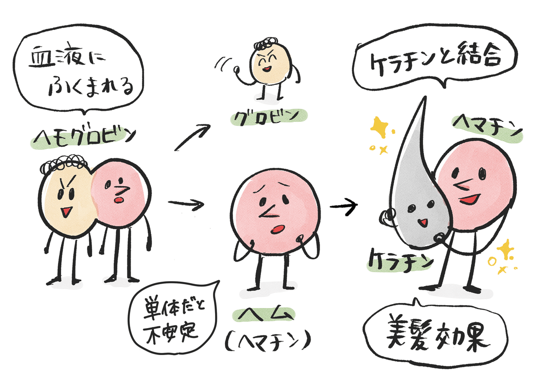 ヘマチンて何者!?