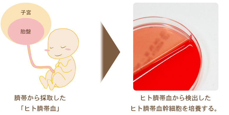 頭皮を“潤す”時代から、“整える”時代へ。 ヘッドスパの現場で結果が出た、頭皮専用設計 FEローションFE ローション⭐150ml