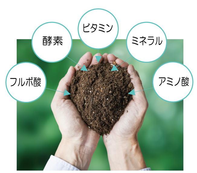 頭皮を“潤す”時代から、“整える”時代へ。 ヘッドスパの現場で結果が出た、頭皮専用設計 FEローションFE ローション⭐150ml