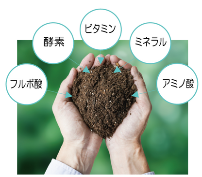 頭皮を“潤す”時代から、“整える”時代へ。 ヘッドスパの現場で結果が出た、頭皮専用設計 FEローションFE ローション⭐150ml