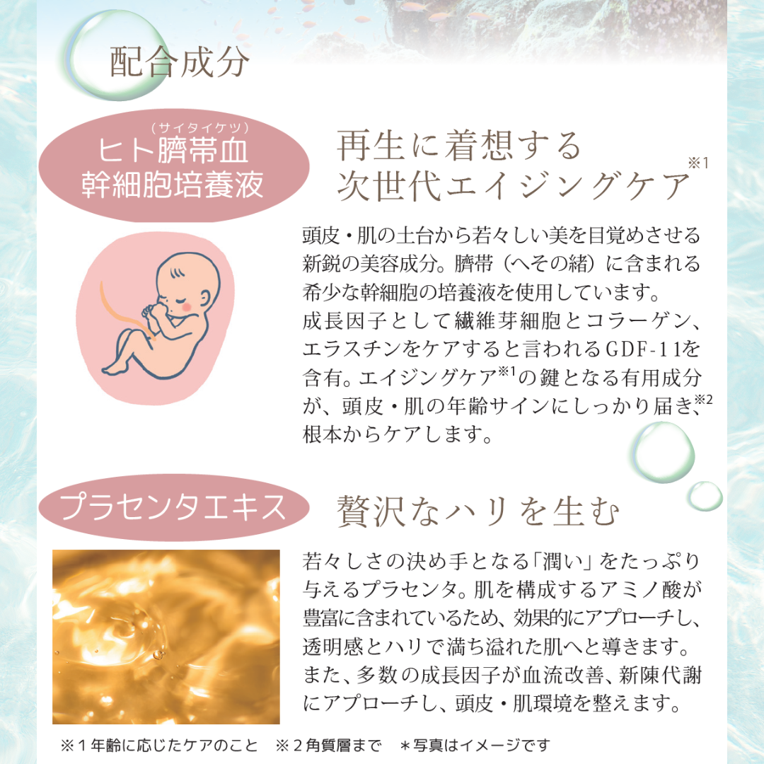 頭皮を“潤す”時代から、“整える”時代へ。 ヘッドスパの現場で結果が出た、頭皮専用設計 FEローションFE ローション⭐150ml